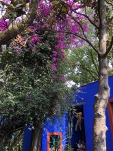 Frida Khalo - Casa Azul